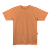 Camiseta Grizzly Blank Tee