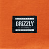 Camiseta Grizzly Prism Og Bear