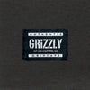 Camiseta Grizzly Delinquent Ss Tee
