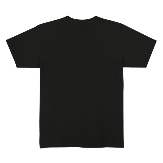 Camiseta Grizzly Og Bear Tee V26GRC01